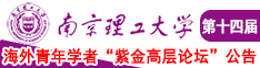 C穴视频网站南京理工大学第十四届海外青年学者紫金论坛诚邀海内外英才！